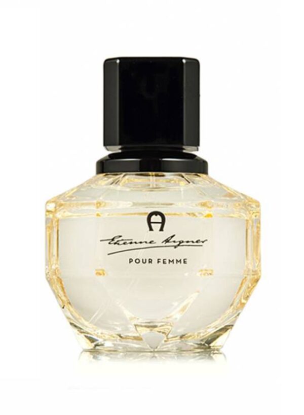 AIGNER Etienne PF Edp 100ml